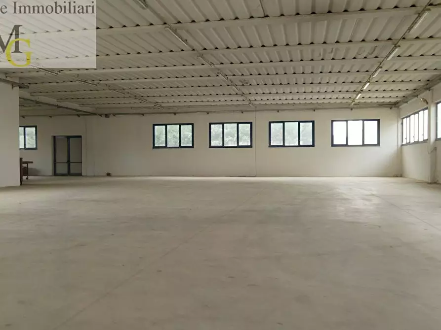 Immagine 7 di Capannone industriale in vendita  a Salizzole