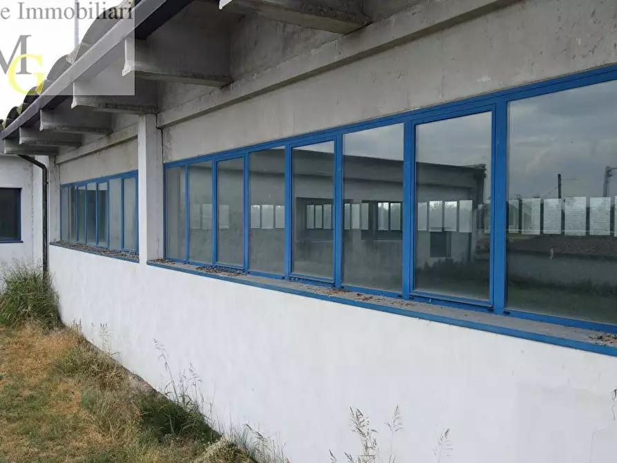 Immagine 10 di Capannone industriale in vendita  a Salizzole