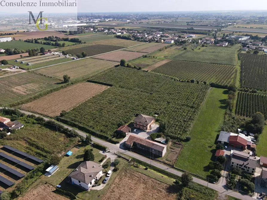 Immagine 2 di Terreno agricolo in vendita  a Cologna Veneta