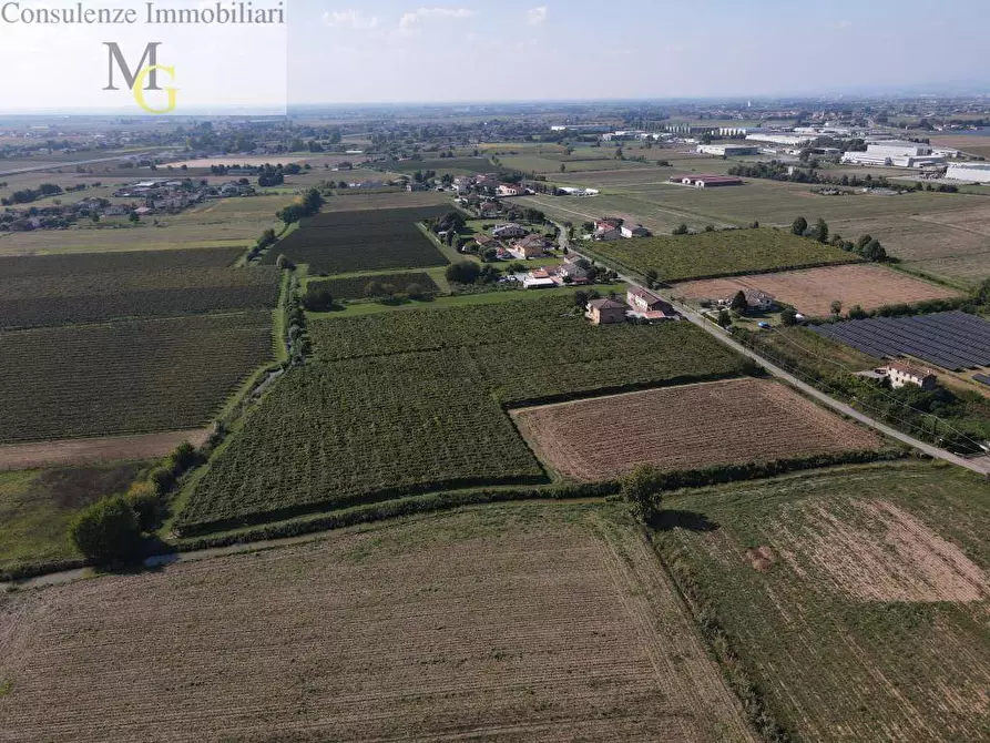 Immagine 3 di Terreno agricolo in vendita  a Cologna Veneta