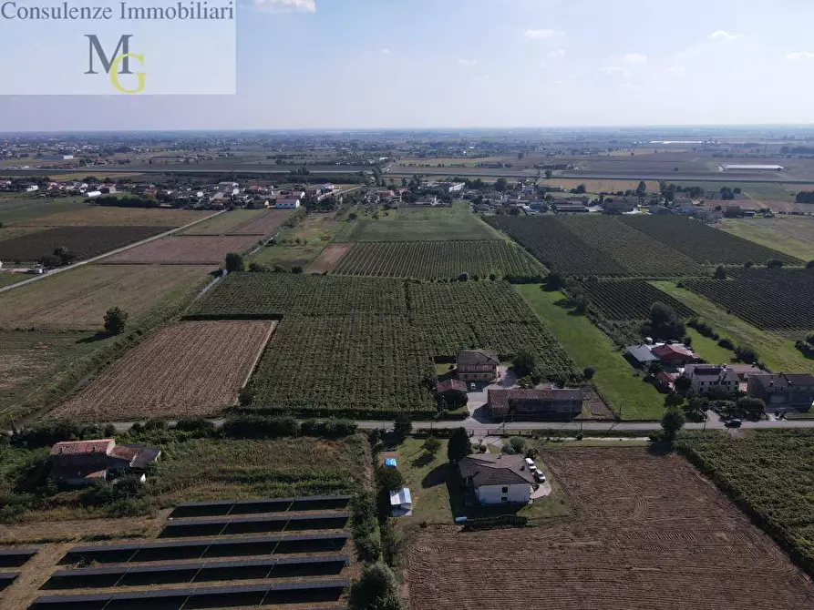 Immagine 6 di Terreno agricolo in vendita  a Cologna Veneta