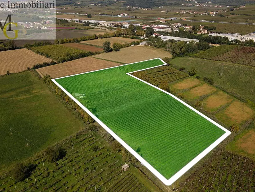 terreno agricolo in vendita a Colognola ai Colli