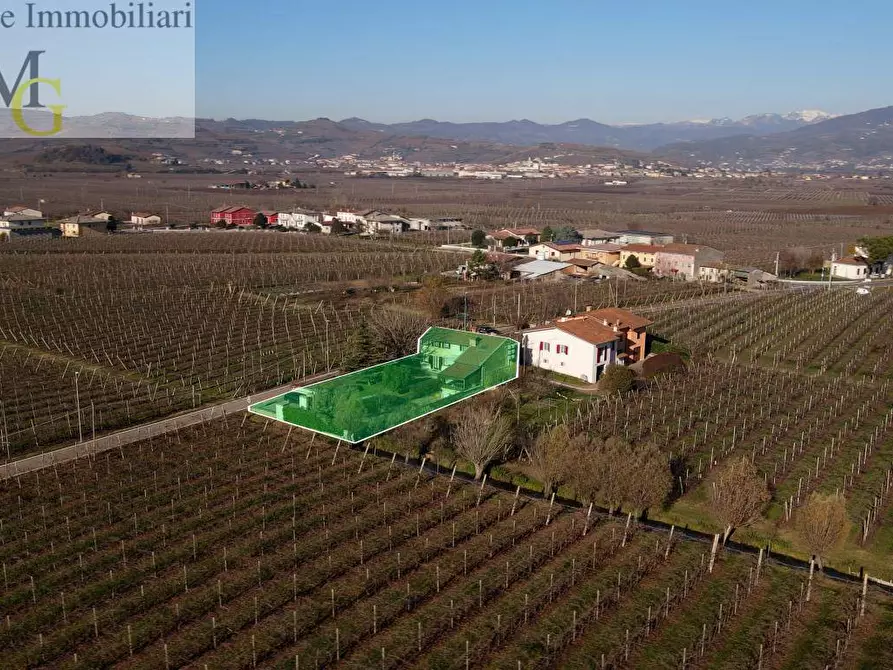 Immagine 4 di Casa indipendente in vendita  a Monteforte D'alpone