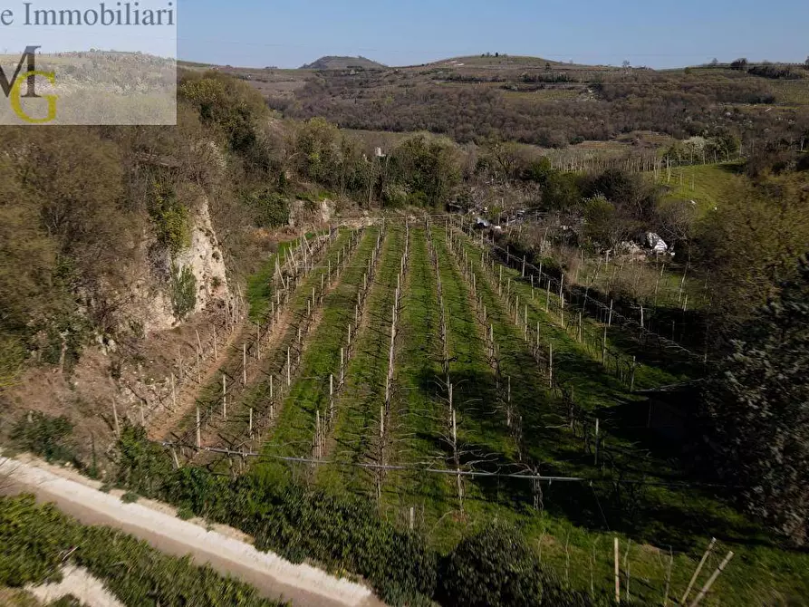 Immagine 10 di Rustico / casale in vendita  a Soave