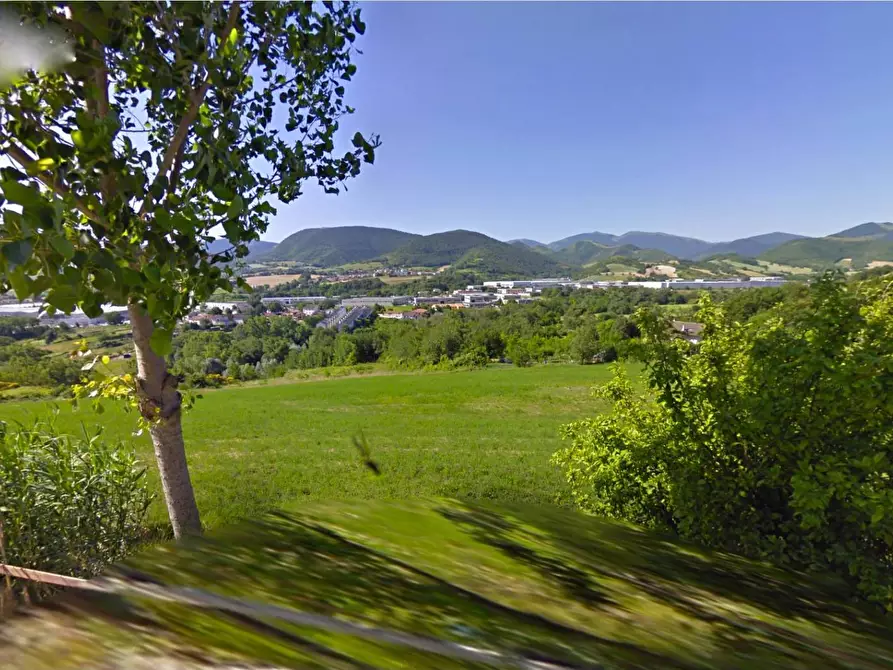 Immagine 2 di Terreno agricolo in vendita  in FRAZ. TORRECECCHINA a Fabriano