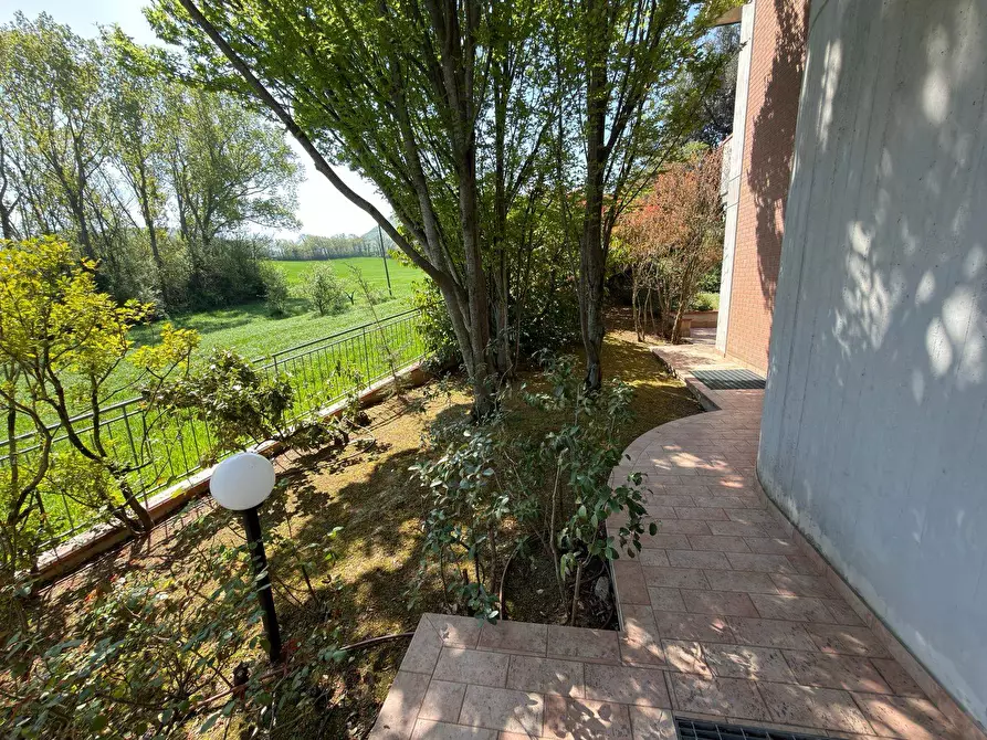 Immagine 9 di Multiproprietà in vendita  in MARISCHIO VIA FONTENUOVA a Fabriano