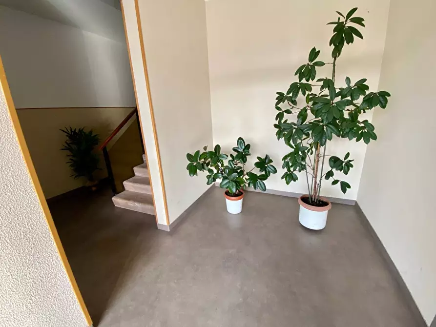 Immagine 4 di Appartamento in vendita  in VIA FILIPPO TURATI 23 a Fabriano