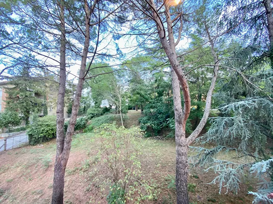 Immagine 23 di Appartamento in vendita  in VIA FILIPPO TURATI 23 a Fabriano