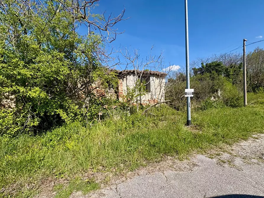 Immagine 3 di Rustico / casale in vendita  in FRAZ. ROCCHETTA SNC a Fabriano