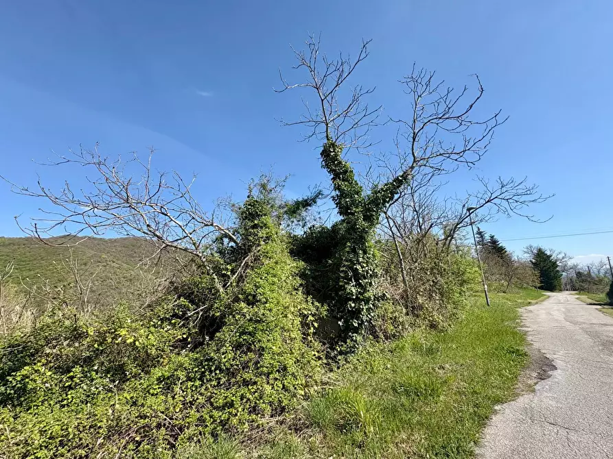Immagine 8 di Rustico / casale in vendita  in FRAZ. ROCCHETTA SNC a Fabriano