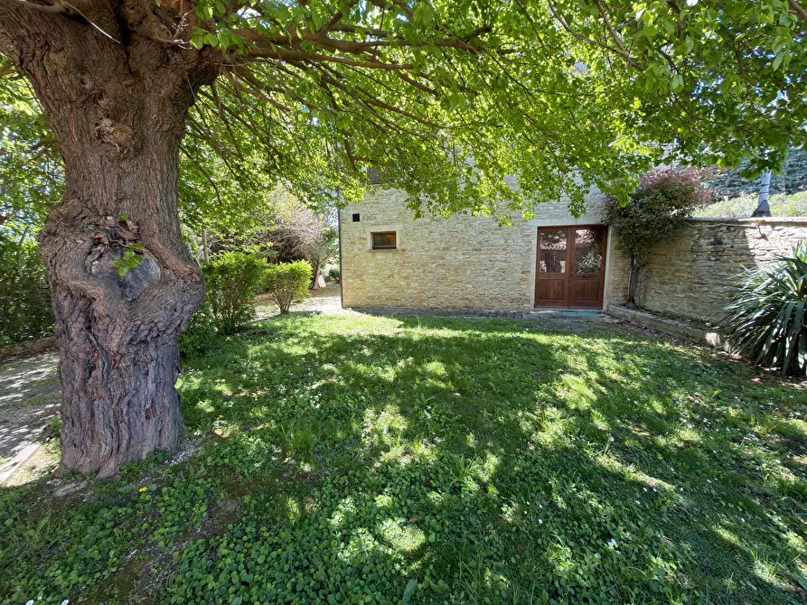 Immagine 9 di Rustico / casale in vendita  in LOCALITA' VILLE a Serra San Quirico
