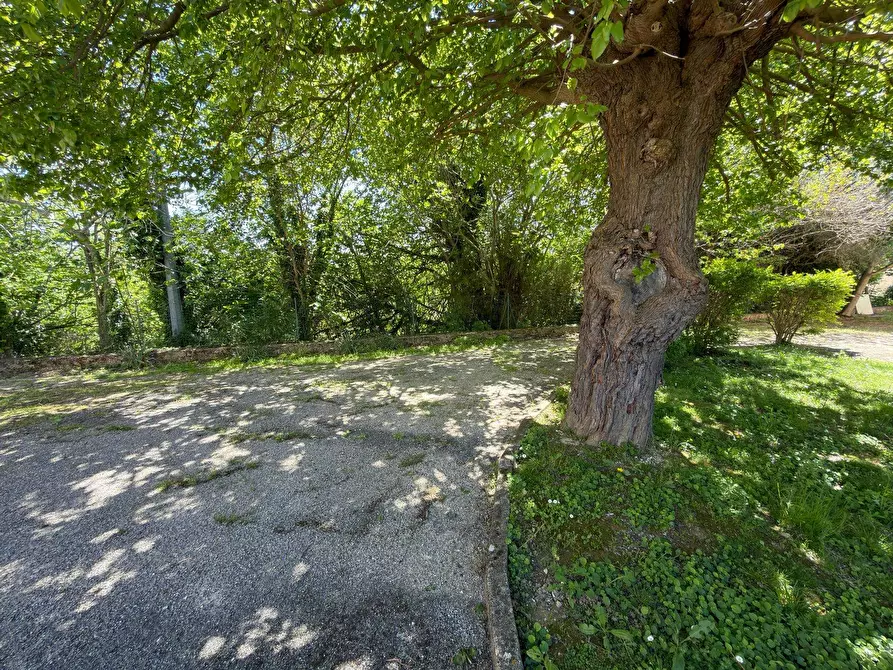 Immagine 10 di Rustico / casale in vendita  in LOCALITA' VILLE a Serra San Quirico