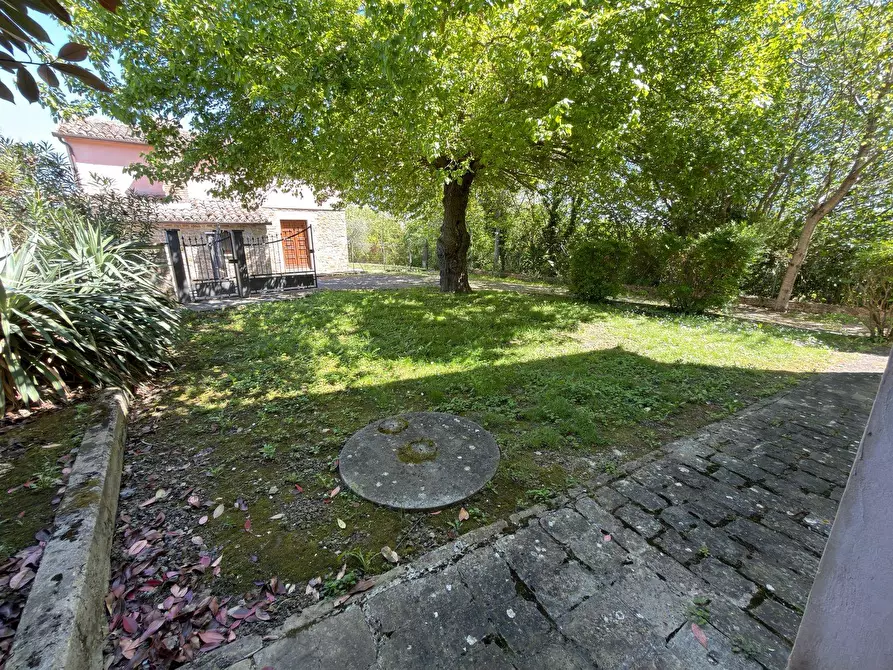 Immagine 11 di Rustico / casale in vendita  in LOCALITA' VILLE a Serra San Quirico