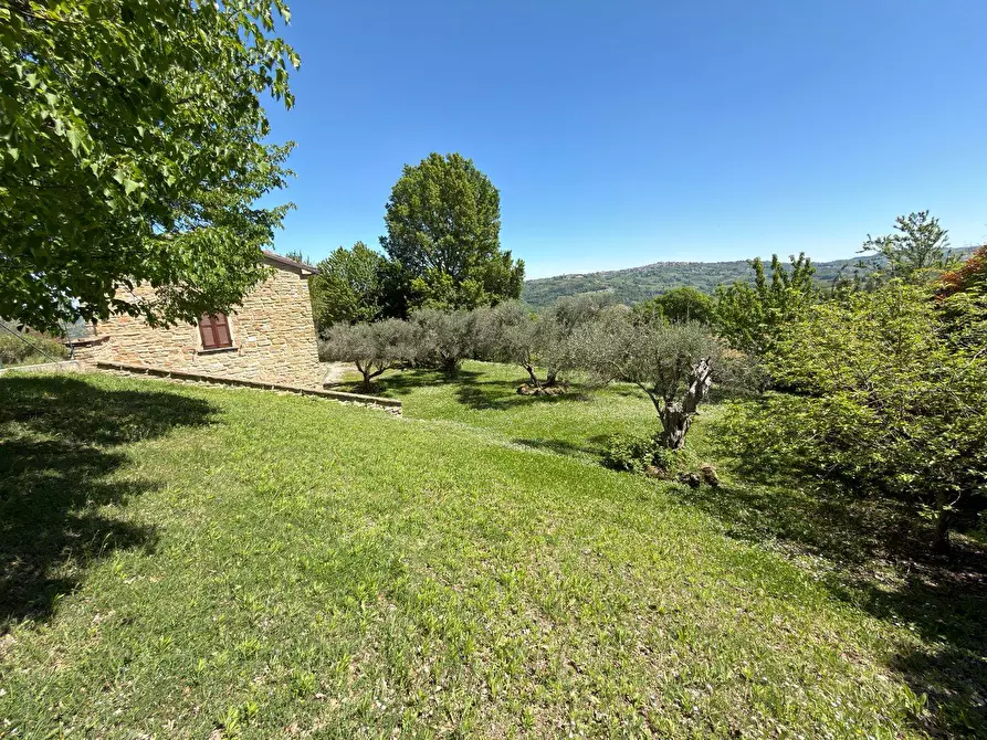 Immagine 13 di Rustico / casale in vendita  in LOCALITA' VILLE a Serra San Quirico