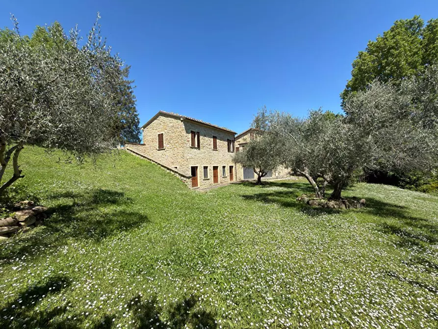 Immagine 14 di Rustico / casale in vendita  in LOCALITA' VILLE a Serra San Quirico