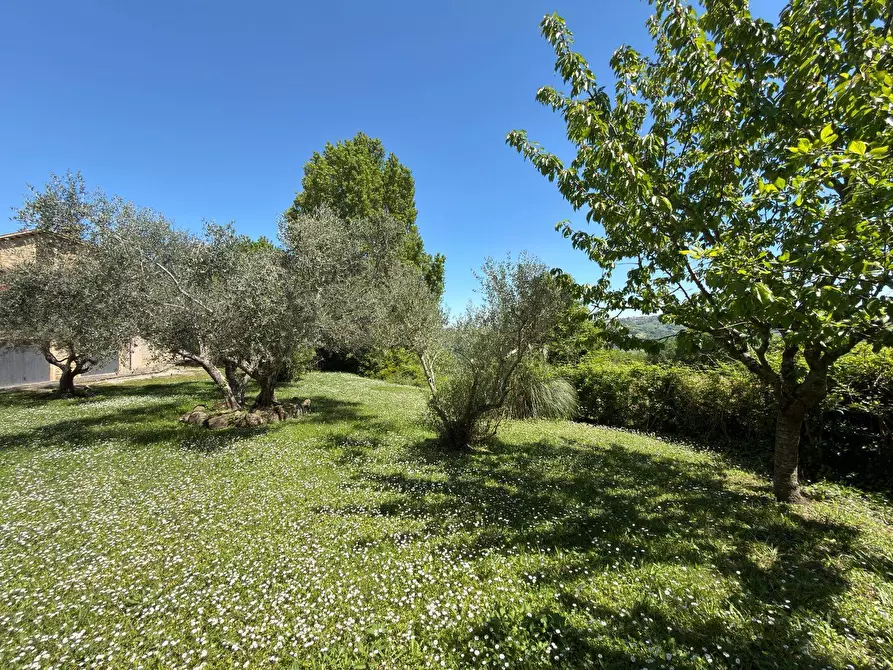 Immagine 15 di Rustico / casale in vendita  in LOCALITA' VILLE a Serra San Quirico