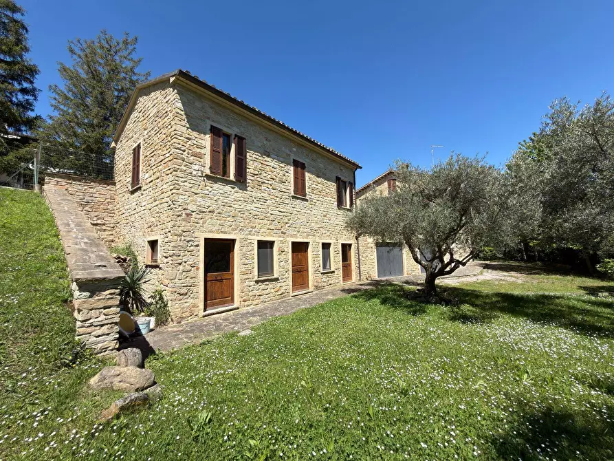 Immagine 8 di Rustico / casale in vendita  in LOCALITA' VILLE a Serra San Quirico