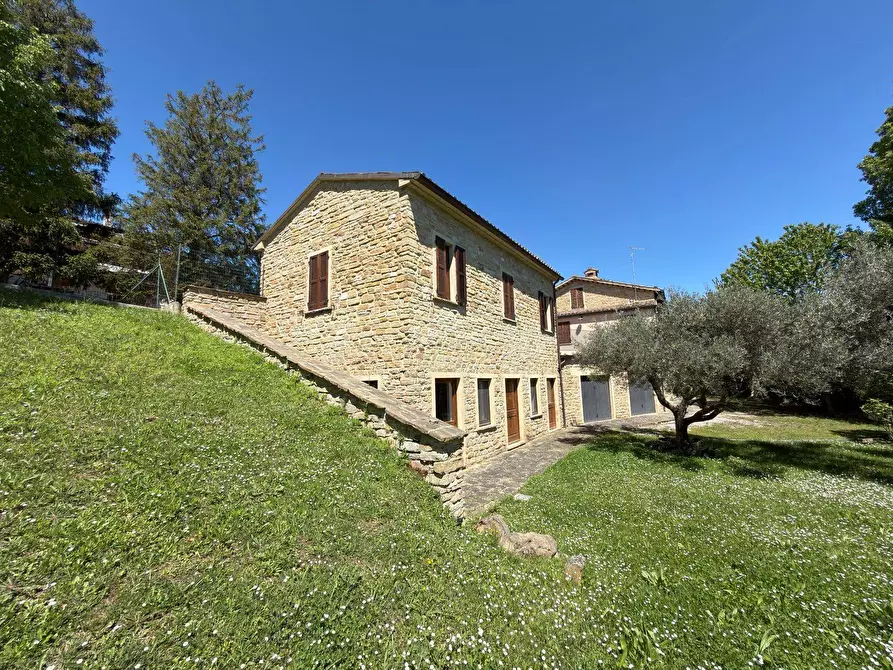 Immagine 7 di Rustico / casale in vendita  in LOCALITA' VILLE a Serra San Quirico