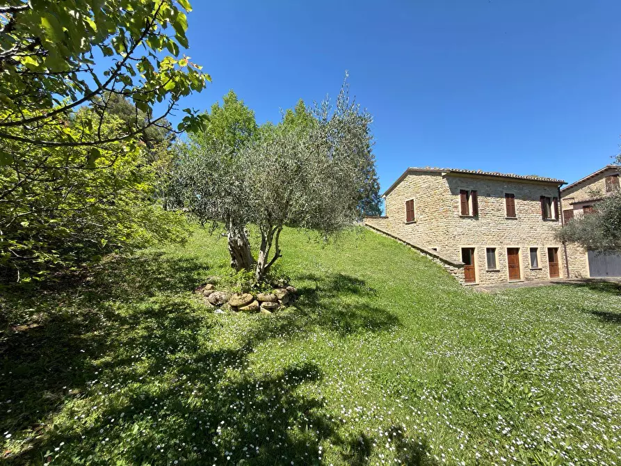 Immagine 76 di Rustico / casale in vendita  in LOCALITA' VILLE a Serra San Quirico