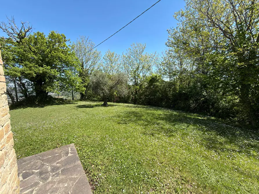 Immagine 19 di Rustico / casale in vendita  in LOCALITA' VILLE a Serra San Quirico