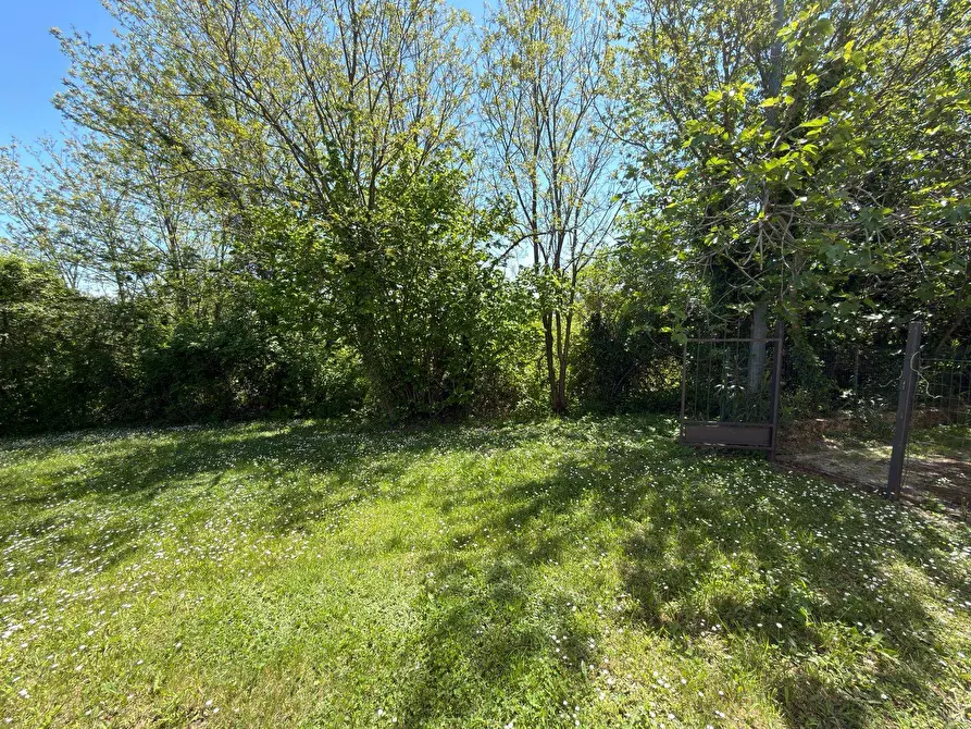 Immagine 21 di Rustico / casale in vendita  in LOCALITA' VILLE a Serra San Quirico