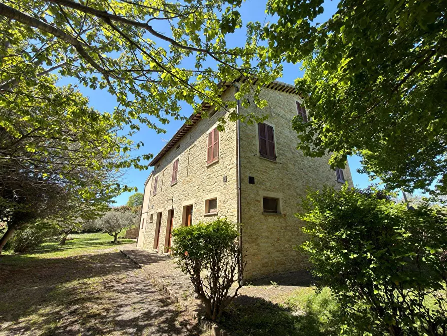 Immagine 22 di Rustico / casale in vendita  in LOCALITA' VILLE a Serra San Quirico