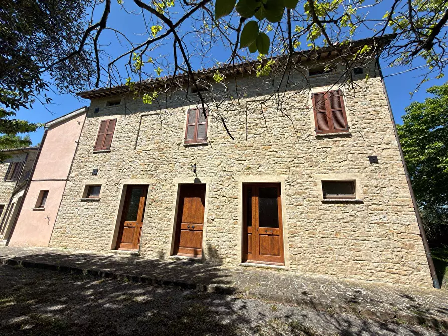 Immagine 23 di Rustico / casale in vendita  in LOCALITA' VILLE a Serra San Quirico