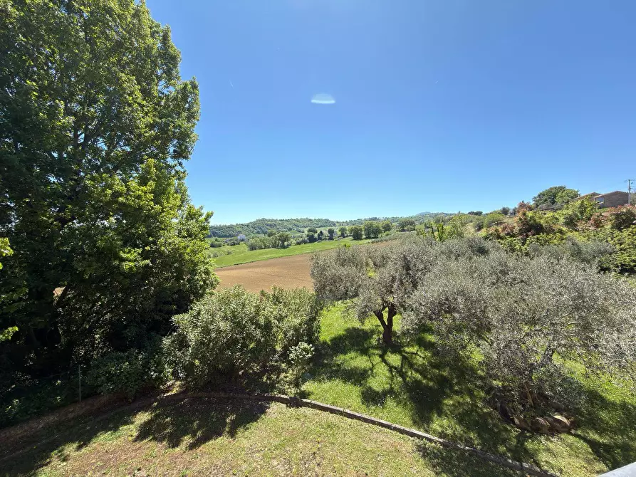 Immagine 36 di Rustico / casale in vendita  in LOCALITA' VILLE a Serra San Quirico