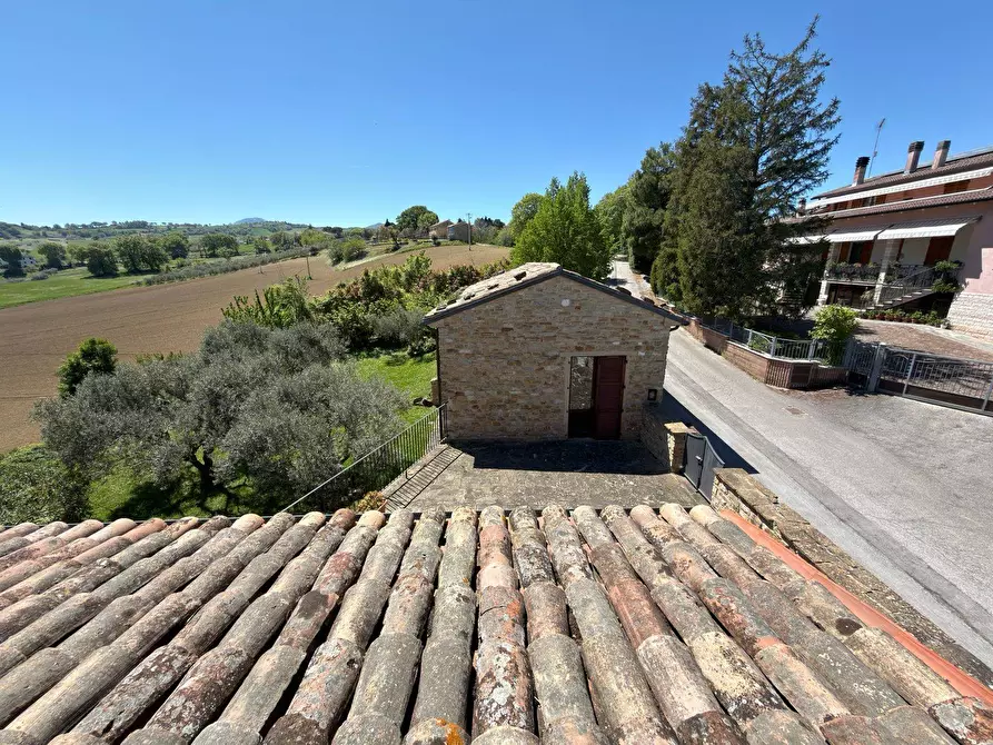 Immagine 60 di Rustico / casale in vendita  in LOCALITA' VILLE a Serra San Quirico