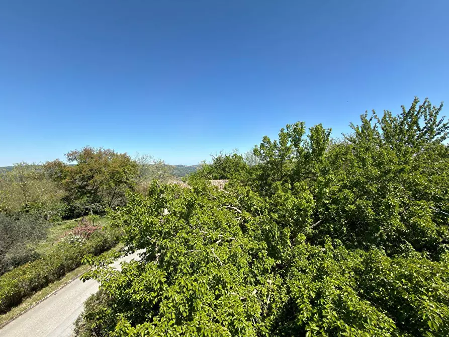Immagine 61 di Rustico / casale in vendita  in LOCALITA' VILLE a Serra San Quirico
