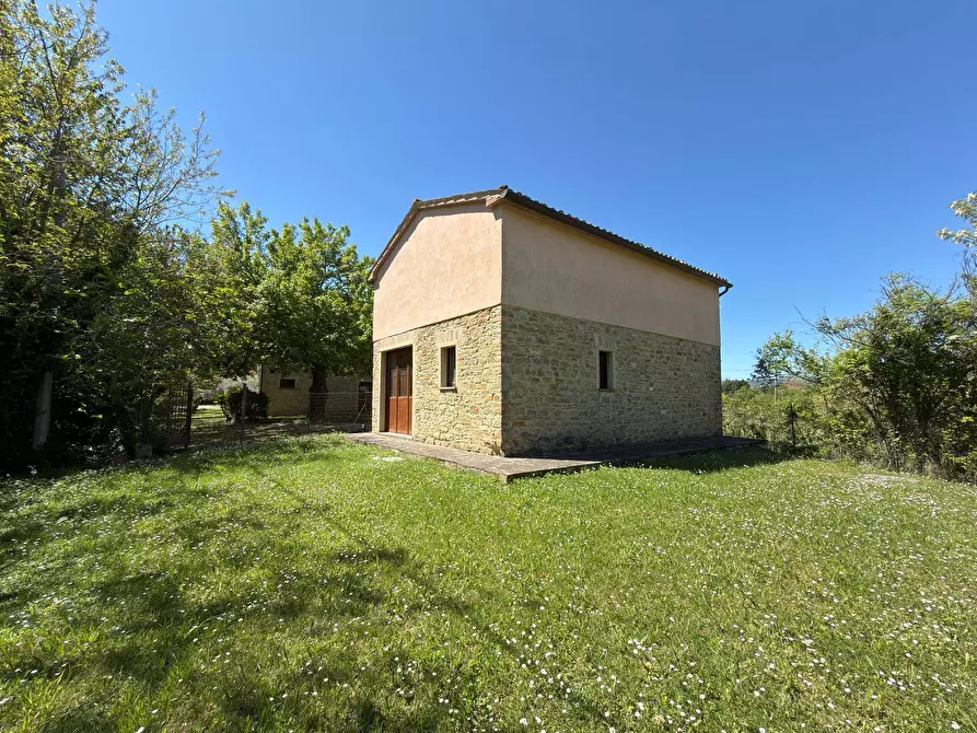Immagine 66 di Rustico / casale in vendita  in LOCALITA' VILLE a Serra San Quirico