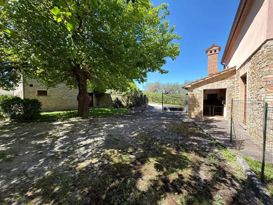 Immagine 65 di Rustico / casale in vendita  in LOCALITA' VILLE a Serra San Quirico