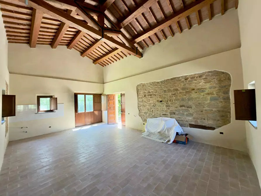 Immagine 72 di Rustico / casale in vendita  in LOCALITA' VILLE a Serra San Quirico