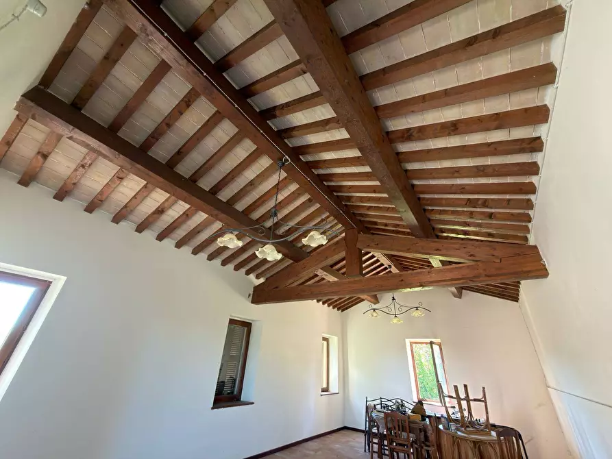 Immagine 85 di Rustico / casale in vendita  in LOCALITA' VILLE a Serra San Quirico