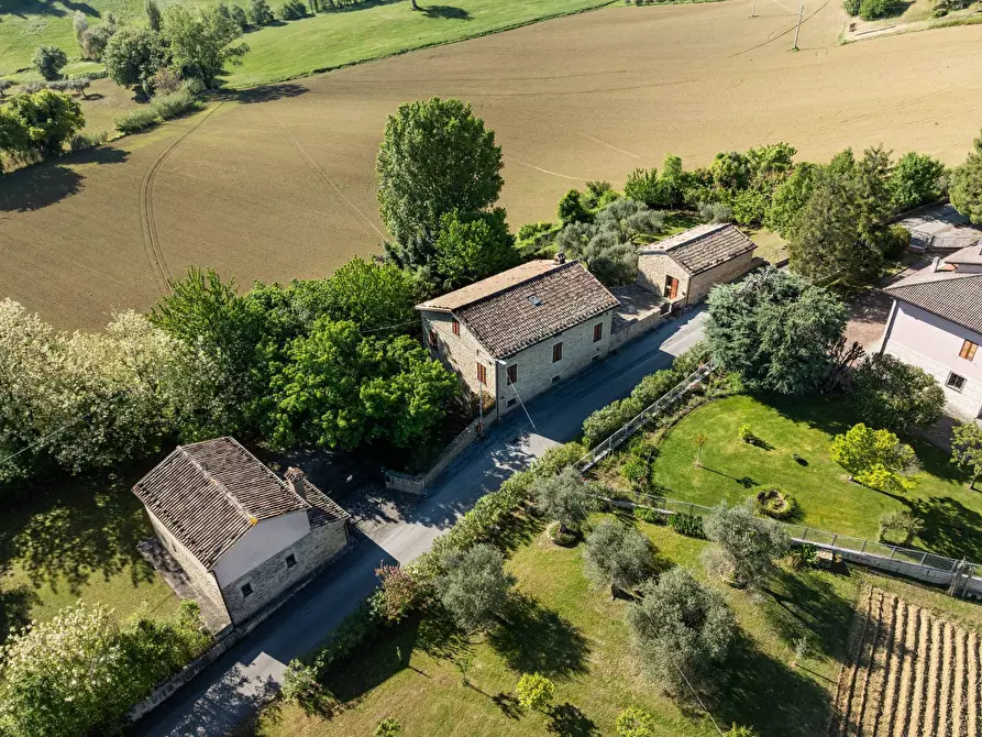 Immagine 3 di Rustico / casale in vendita  in LOCALITA' VILLE a Serra San Quirico