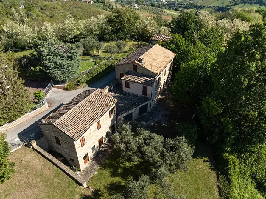 Immagine 4 di Rustico / casale in vendita  in LOCALITA' VILLE a Serra San Quirico