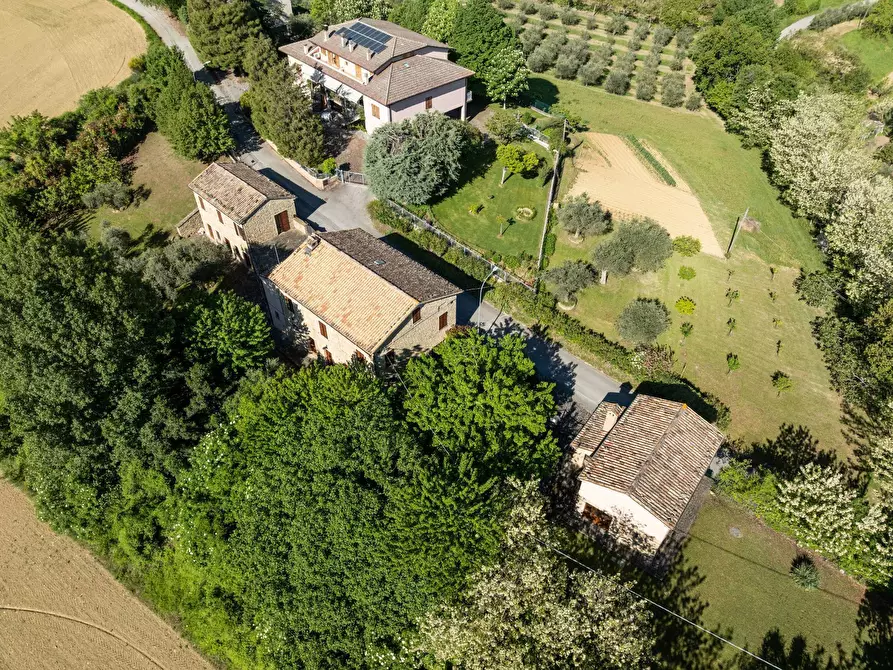 Immagine 6 di Rustico / casale in vendita  in LOCALITA' VILLE a Serra San Quirico