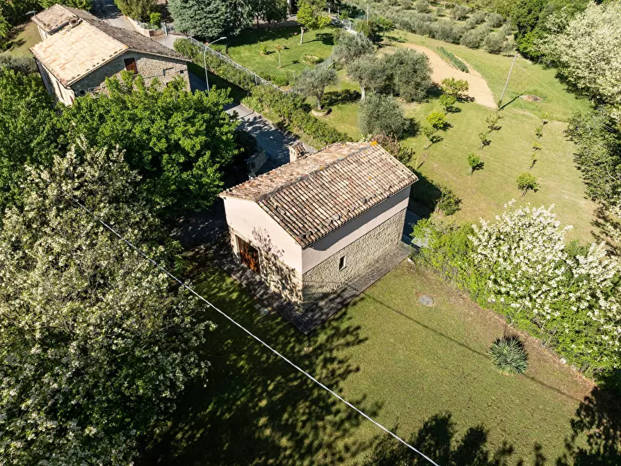 Immagine 5 di Rustico / casale in vendita  in LOCALITA' VILLE a Serra San Quirico