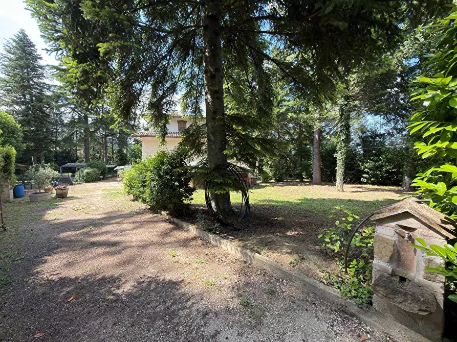 Immagine 8 di Villa in vendita  in CONTRADA PIANIBIANCHI 44 a Tolentino
