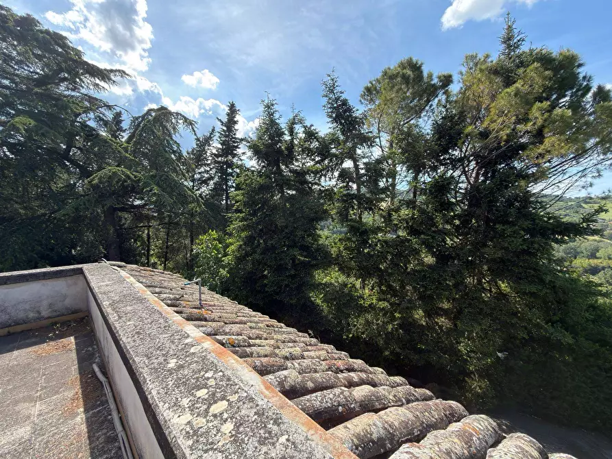 Immagine 50 di Villa in vendita  in CONTRADA PIANIBIANCHI 44 a Tolentino
