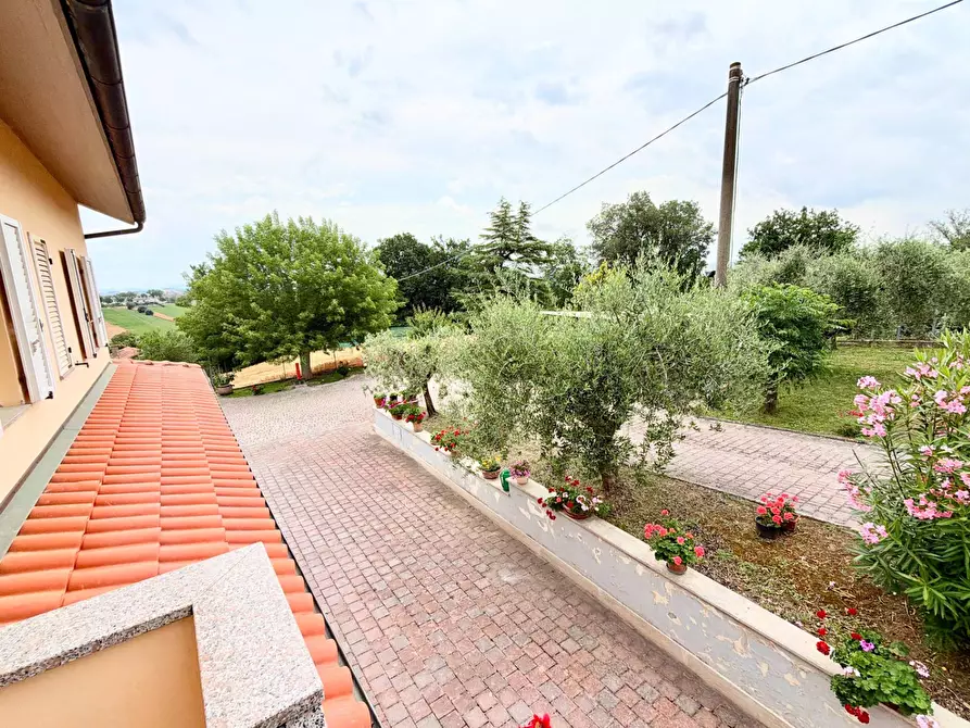 Immagine 35 di Villa in vendita  in Via Montesecco 3 a Jesi