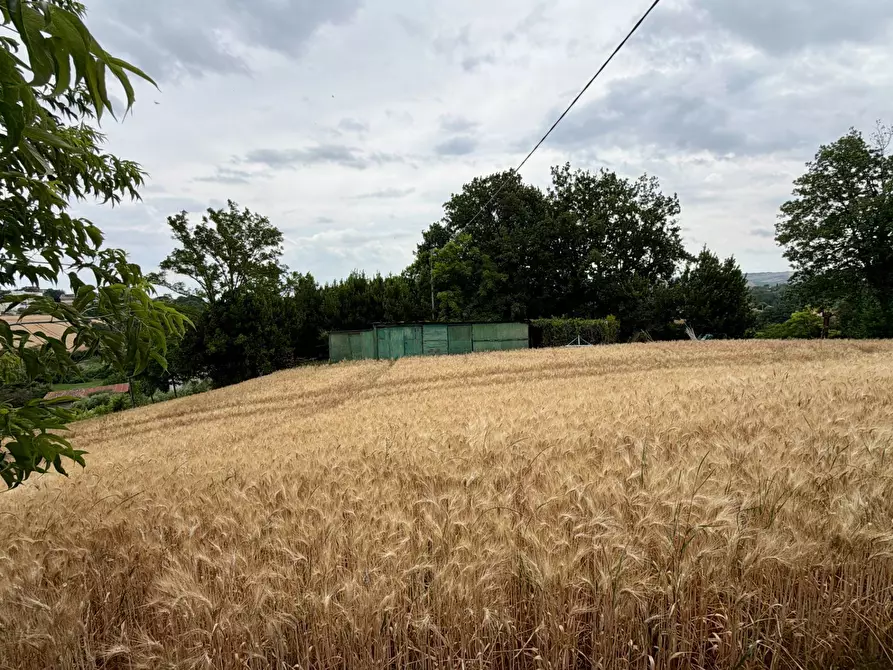 Immagine 54 di Villa in vendita  in Via Montesecco 3 a Jesi