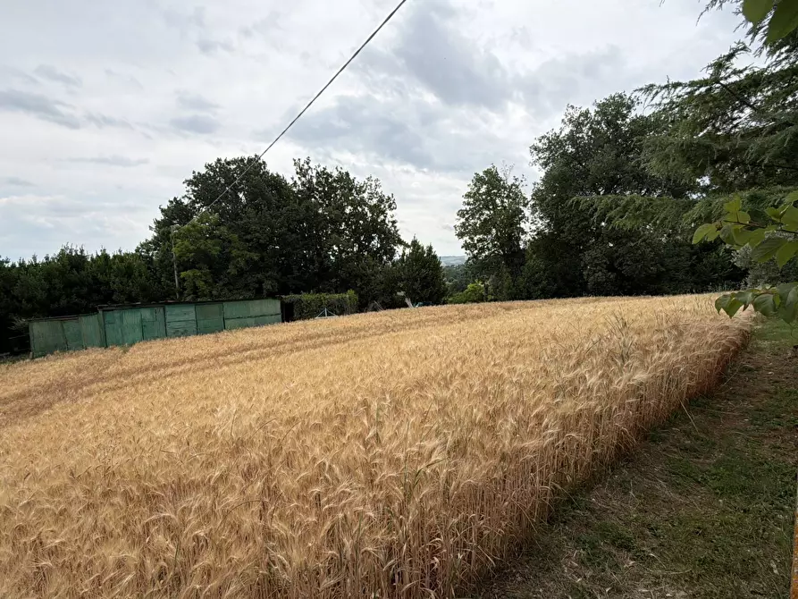 Immagine 55 di Villa in vendita  in Via Montesecco 3 a Jesi