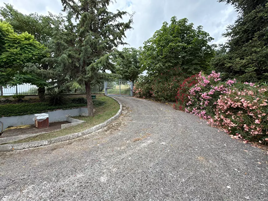 Immagine 56 di Villa in vendita  in Via Montesecco 3 a Jesi