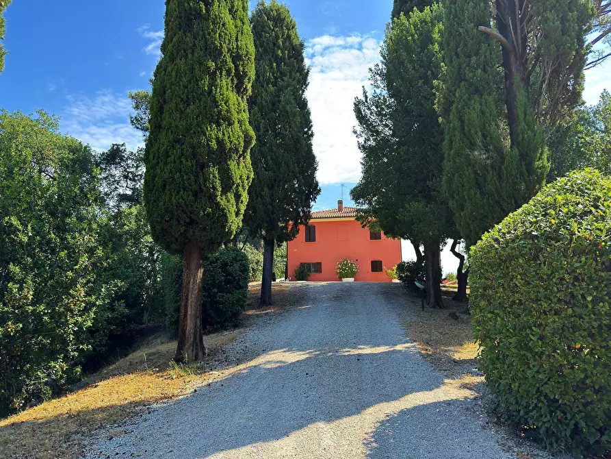 Immagine 4 di Villa in vendita  in Strada provinciale dei Castelli 6 a Belvedere Ostrense