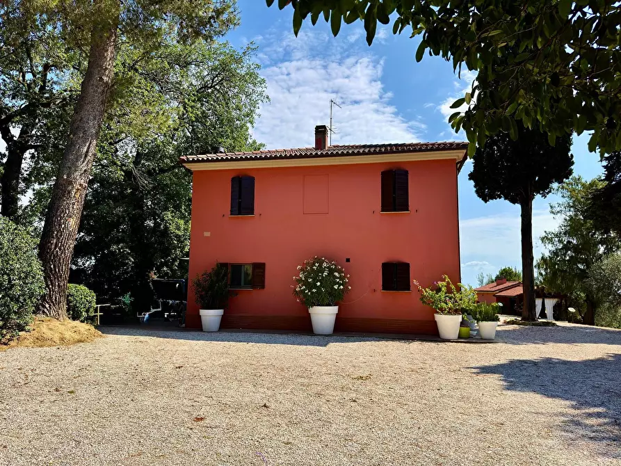 Immagine 5 di Villa in vendita  in Strada provinciale dei Castelli 6 a Belvedere Ostrense