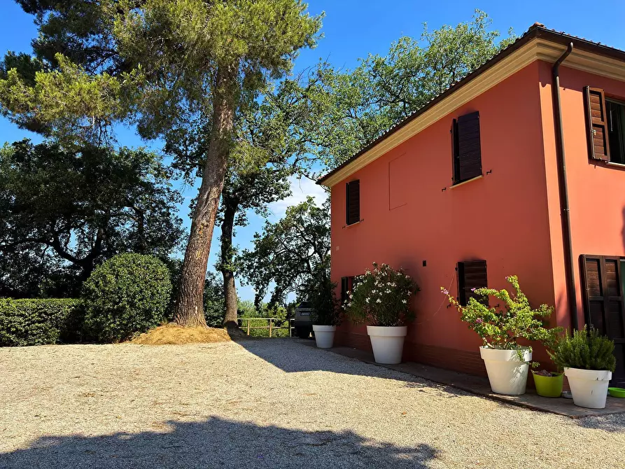 Immagine 6 di Villa in vendita  in Strada provinciale dei Castelli 6 a Belvedere Ostrense