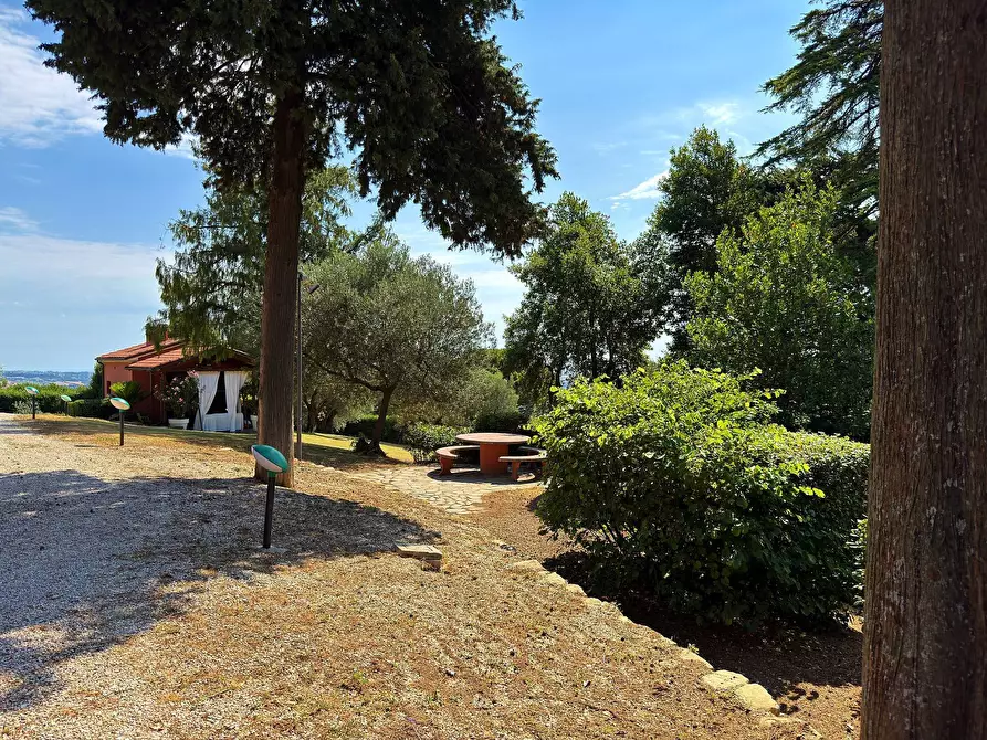 Immagine 8 di Villa in vendita  in Strada provinciale dei Castelli 6 a Belvedere Ostrense