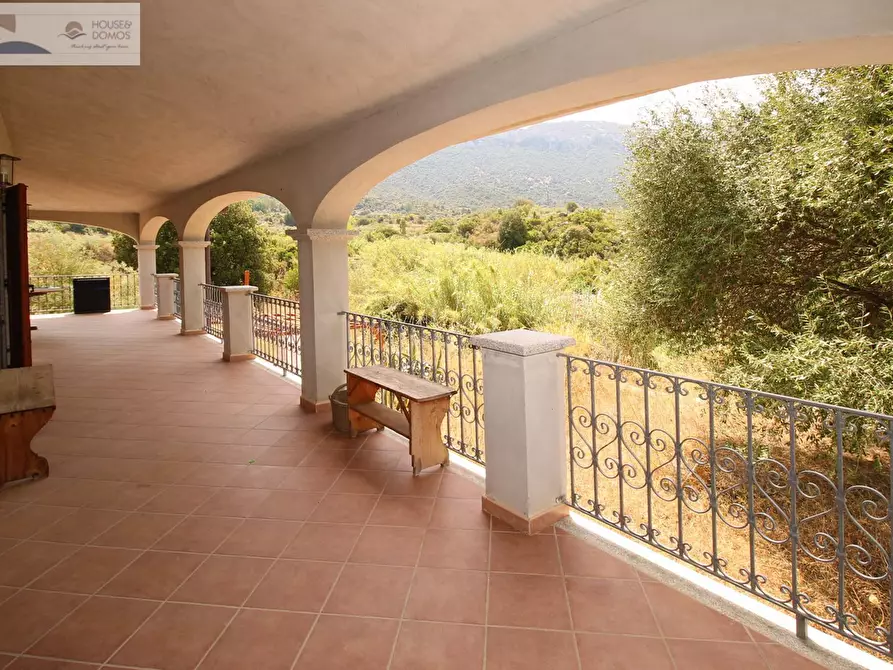 Immagine 32 di Casa indipendente in vendita  a Dorgali