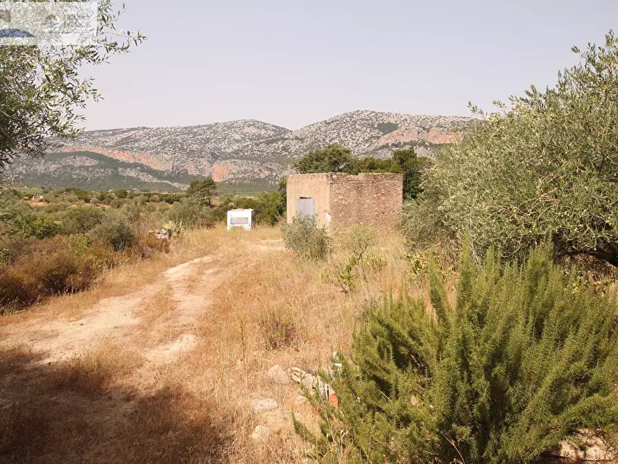 Immagine 34 di Casa indipendente in vendita  a Dorgali
